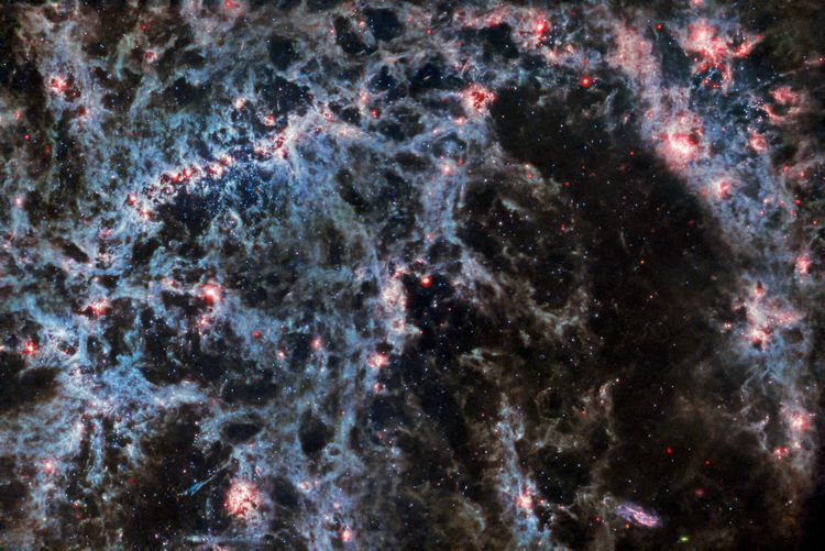 Sustaining the World's Most Powerful Telescope