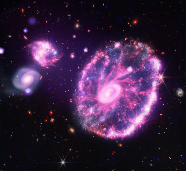 The Cartwheel galaxy gets its shape from a collision with another smaller galaxy – located outside the field of this image – about 100 million years ago. When this smaller galaxy punched through the Cartwheel, it triggered star formation that appears around an outer ring and elsewhere throughout the galaxy. X-rays seen by Chandra (blue and purple) come from superheated gas, individual exploded stars, and neutron stars and black holes pulling material from companion stars. Webb’s infrared view (red, orange, yellow, green, blue) shows the Cartwheel galaxy plus two smaller companion galaxies – not part of the collision – against a backdrop of many more distant galactic cousins. The Webb Telescope and the Chandra X-ray observatory were both designed and built in partnership with Northrop Grumman. chandrawebb_cartwheel_comp